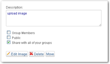 image options
